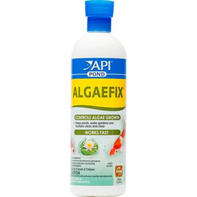 API Pond Algaefix 16 oz.