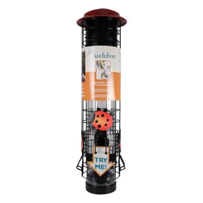 Audubon Ladybug Squirrel Resistant Tube Feeder 2.5 lb. Black/Red