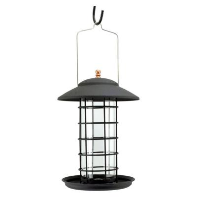 Audubon Modern Farmhouse Promotional Glass Tube Feeder 1.5 lb. Black