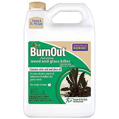 Bonide Burn Out Fast Acting Weed And Grass Killer Concentrate 128 fl.oz.