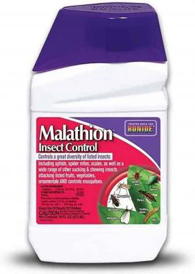 Bonide Malathion Insect Control 16 fl.oz.