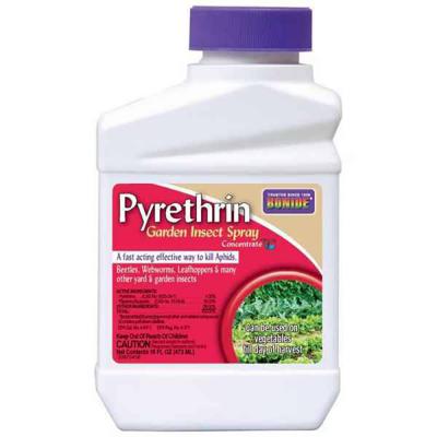 Bonide Pyrethrin Garden Insect Spray Concentrate 16 fl.oz.