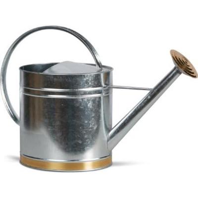 Galvanized Watering Can 1 gal