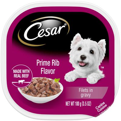 Cesar Filets In Gravy Adult Wet Dog Food Prime Rib 3.5 oz.