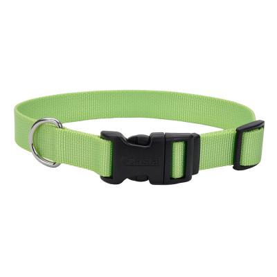 Coastal Adjustable Dog Collar with Plastic Buckle Lime Extra Small 3/8 in. x 8-12 in.