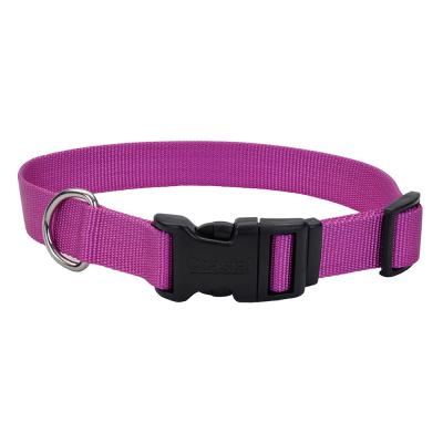 Coastal Adjustable Dog Collar with Plastic Buckle Orchid Extra Small 3/8 in. x 8-12 in.