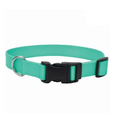 Coastal Adjustable Dog Collar with Plastic Buckle Teal Extra Small 3/8 in. x 8-12 in.