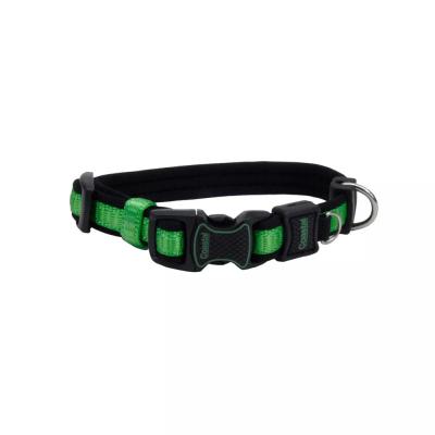 Coastal Inspire Adjustable Dog Collar Coastal Inspire Green Extra Small 5/8 in. x 8-12 in.