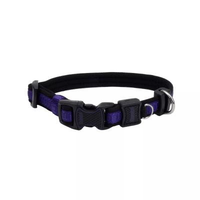 Coastal Inspire Adjustable Dog Collar Coastal Inspire Purple Extra Small 5/8 in. x 8-12 in.