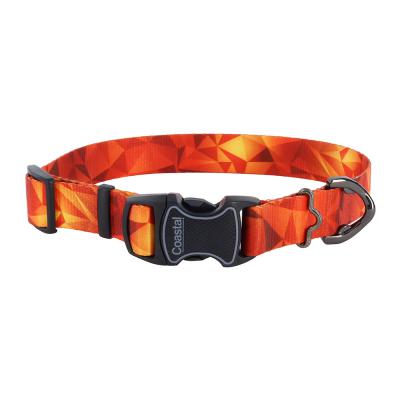 Coastal Inspire Adjustable Fashion Dog Collar Blazing Shards Extra Small 5/8 in. x 8-12 in.