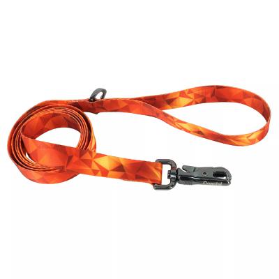 Coastal Inspire Fashion Dog Leash Blazing Shards Small/Medium 5/8 in. x 6 ft.