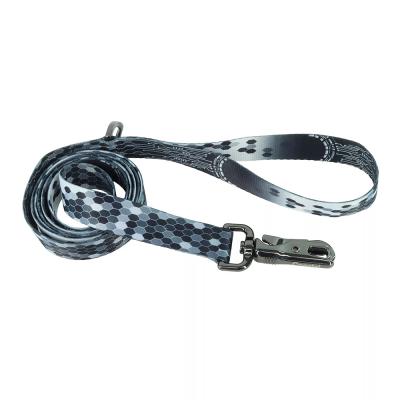 Coastal Inspire Fashion Dog Leash Digital matrixx Small/Medium 5/8 in. x 6 ft.