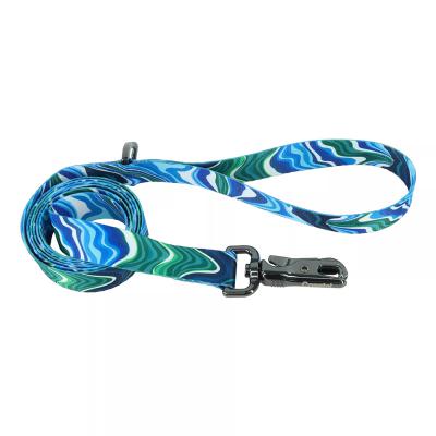 Coastal Inspire Fashion Dog Leash Malachite Magic Small/Medium 5/8 in. x 6 ft.