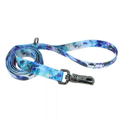 Coastal Inspire Fashion Dog Leash Rainy Day Floral Small/Medium 5/8 in. x 6 ft.