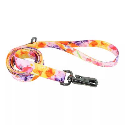 Coastal Inspire Fashion Dog Leash Sherbet Blooms Small/Medium 5/8 in. x 6 ft.