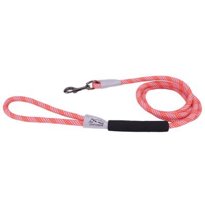 Coastal K9 Explorer  Brights Reflective Braided Rope Snap Leash Canyon 3/8 in. x 6 ft.