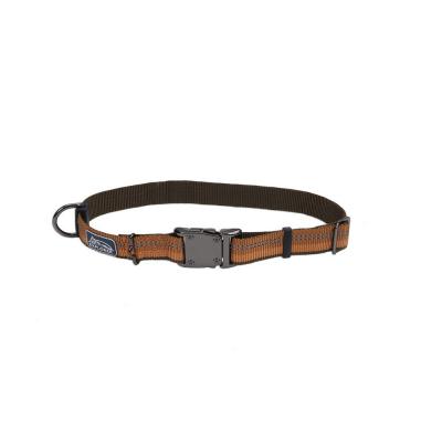 Coastal K9 Explorer Reflective Adjustable Dog Collar Campfire Orange Large 1 in. x 18-26 in.