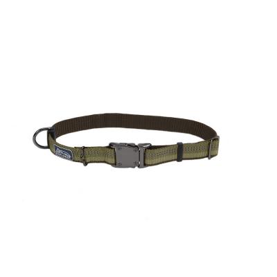 Coastal K9 Explorer Reflective Adjustable Dog Collar Fern Small 5/8 in. x 10-14 in.