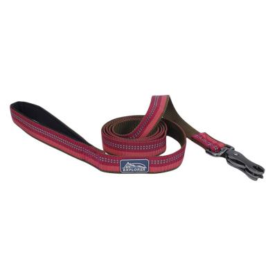 Coastal K9 Explorer Reflective Dog Leash with Scissor Snap Berry Small/Medium 5/8 in. x 6 ft.