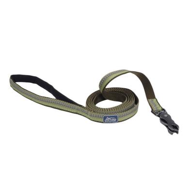 Coastal K9 Explorer Reflective Dog Leash with Scissor Snap Fern Small/Medium 5/8 in. x 6 ft.