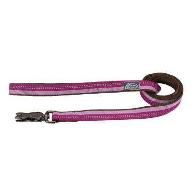 Coastal K9 Explorer Reflective Dog Leash with Scissor Snap Orchid Small/Medium 5/8 in. x 6 ft.