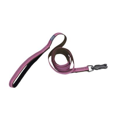 Coastal K9 Explorer Reflective Dog Leash with Scissor Snap Rosebud Small/Medium 5/8 in. x 6 ft.