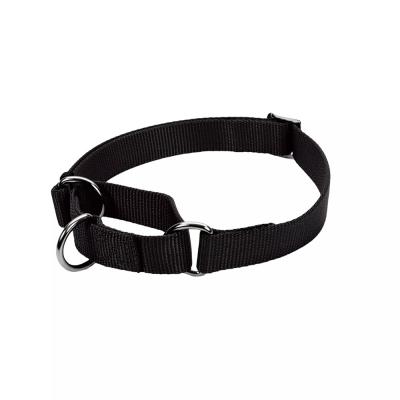 Coastal No Slip Martingale Collar With Buckle Medium 14-18 in. Black