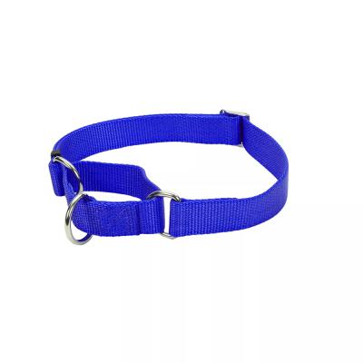 Coastal No Slip Martingale Collar With Buckle Medium 14-18 in. Blue