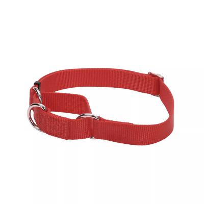 Coastal No Slip Martingale Collar With Buckle Medium 14-18 in. Red