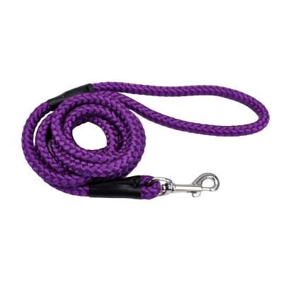 Coastal Rope Dog Leash Purple 1/2 in. x 6 ft.