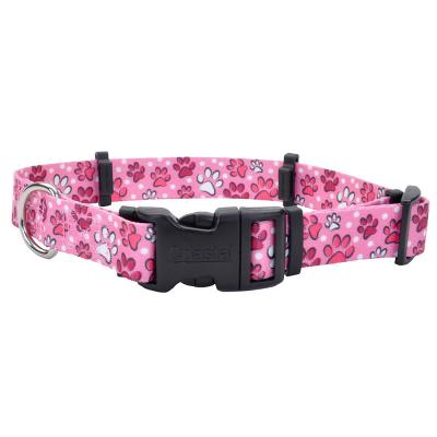 Coastal SecureAway Flea Collar Protectors Multi Paws X-Small 5/8 in. x 8-12 in.