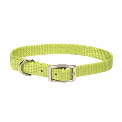 Coastal Single-Ply Dog Collar Lime Medium 1 in. x 18 in.