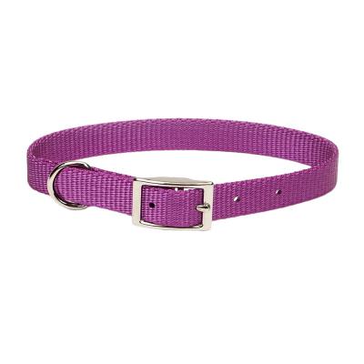 Coastal Single-Ply Dog Collar Orchid Medium 1 in. x 18 in.