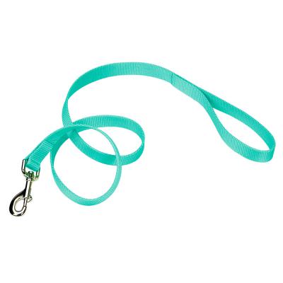 Coastal Single-Ply Dog Leash Teal Small 5/8 in. x 6 ft.