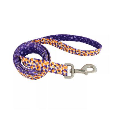 Coastal Sublime Dog Leash Purple Orange Cubes MD/LG 1In x 6 ft.