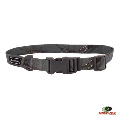 Coastal Water & Woods Adjustable Dog Collar Country Roots Evergreen Small - 3/4 in. x 10-14 in.