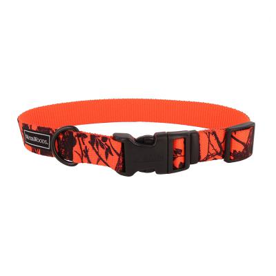 Coastal Water & Woods Blase Adjustable Patterned Dog Collar Orange Tree Medium - 1 in. x 14-20 in.