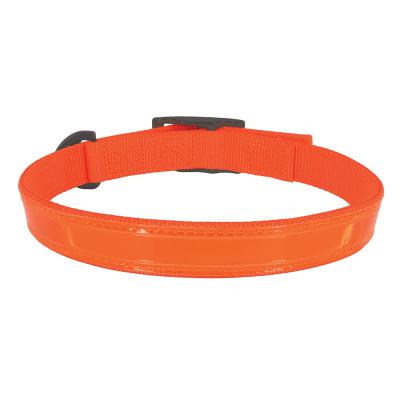 Coastal Water & Woods Double-Ply Reflective Hound Dog Collar Safety Orange Medium - 1 in. x 18 in.