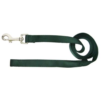 Nylon Dog Leash 1 in. x  6 ft. Green