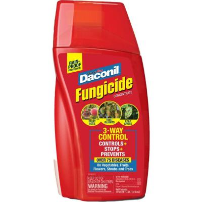 Daconil Fungicide Concentrate 1 Pint