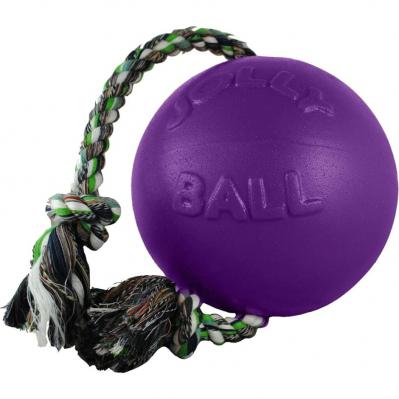 Jolly Romp N Roll Ball 8 Purple