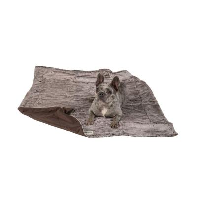 Dogs Gone Smart Itchy Witchy Blanket Chocolate Truffle 30 in. X 40 in.