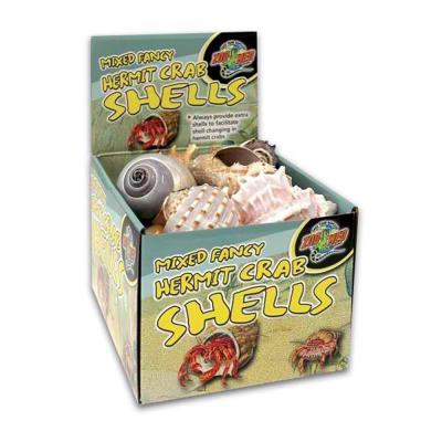 Hermit Crab Shells Assorted Each