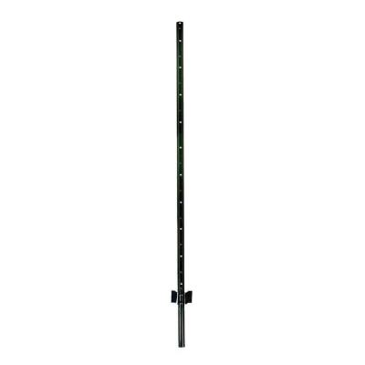 Garden Zone Light Duty Post 6 ft. Green