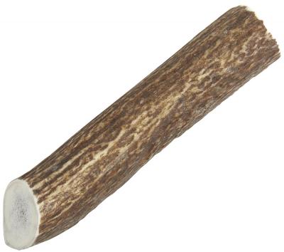 Elk Antler Whole Medium