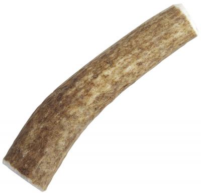 Elk Antler Whole Jumbo