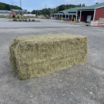 Timothy Hay Large Square Bale 3 Ft x 3 Ft. x 7 Ft.