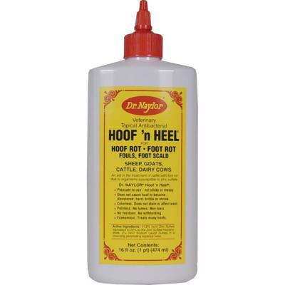 Dr. Naylor Veterinary Topical Antibacterial Hoof 'n Heel 16 oz.