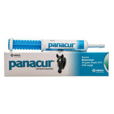 Panacur Equine Dewormer Paste 25g