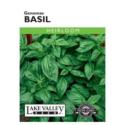 Lake Valley Seed Basil Genovese